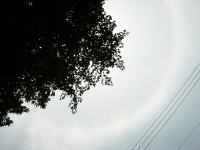 ۂ