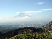삪Lł