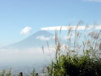 킴ƃXXLĂ݂肵
