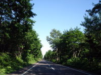 10kmȏ̊ԁAQCRJ[u܂B