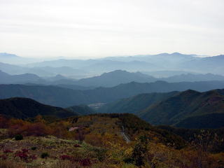 やっぱり紅葉の季節にまた来たほうがいいかも…