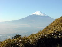 富士山きれいです