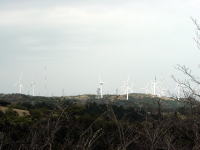 発電用の風車
