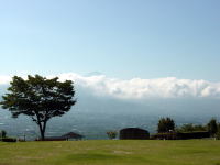雲がじゃまですが富士山見えてます。
