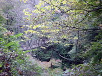 この吊り橋、紅葉してたらさぞきれいなんでしょう…