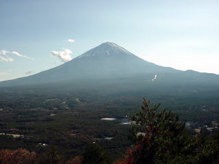 紅葉台より樹海に浮かぶ富士山。