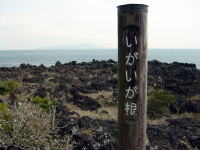 いがいが根。伊豆大島が見えます。いがいかね？