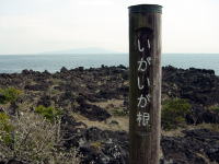 いがいが根。伊豆大島が見えます。いがいかね?