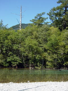 川の水がエメラルド色です。