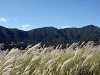 心安まる風景です。