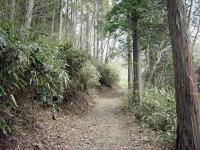 普通の山道になりました