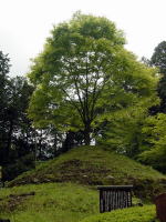 東海道に唯一現存する一里塚です。