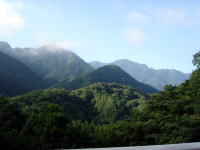 朝霧煙る山の朝。7:00頃です