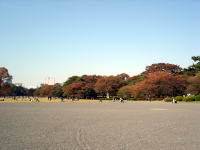 都心とは思えない広々空間