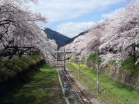 その橋の上から。電車が来たらこんないい場所取れません。