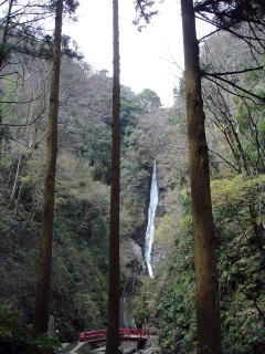 木立の間から洒水の滝