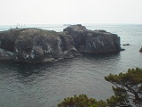 海猫の繁殖地・経島