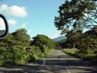 県道５８号線。ずっとこんな森の中の道です。