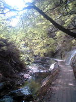 渓流沿いに遊歩道があります。ときどき横から熱湯噴き出します。