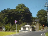 ER