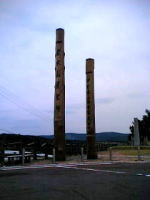 AoĈ߂ɎB悤ȂłȁB